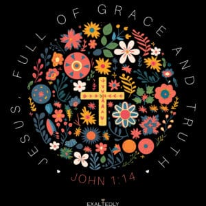 Jesus Full of Grace Women's Tee