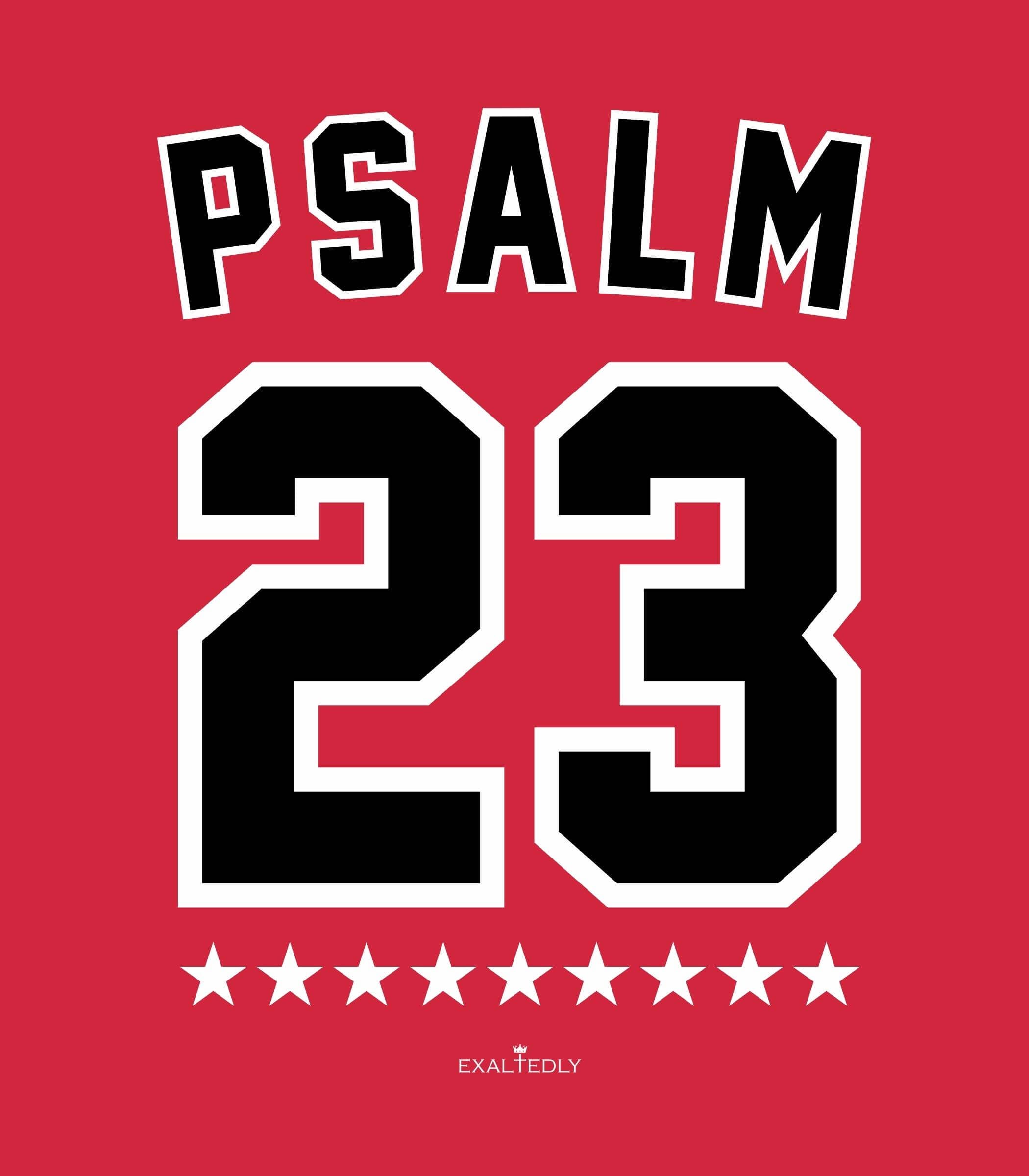Psalm 23 Men's Tee - Hover