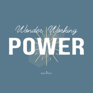 Wonder Working Power Unisex Tee