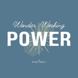 Wonder Working Power Unisex Tee